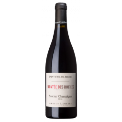 SAUMUR CHAMPIGNY DOMAINE DE...